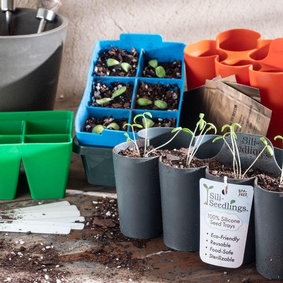 Silicone pots for seedlings