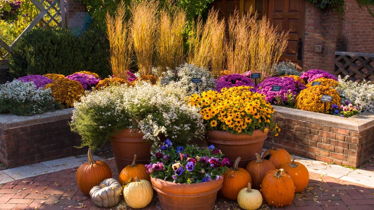 Fall Outdoor Planter Ideas I’m Using for a Cozy Autumn Garden