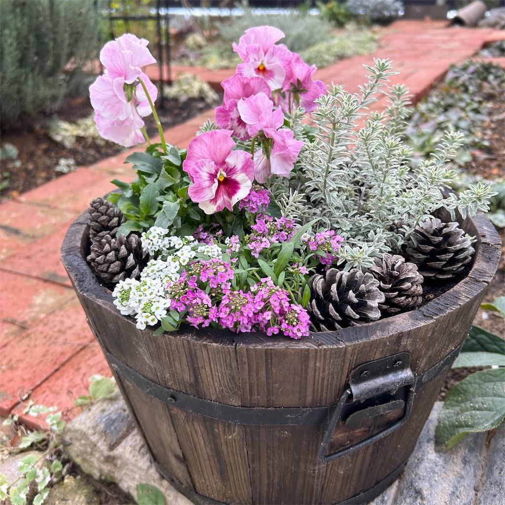 Rustic winter container garden