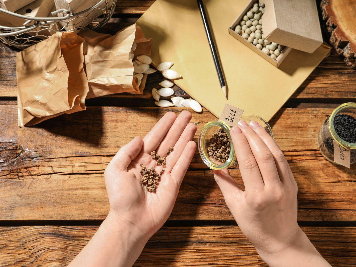 Saved garden seeds in containers