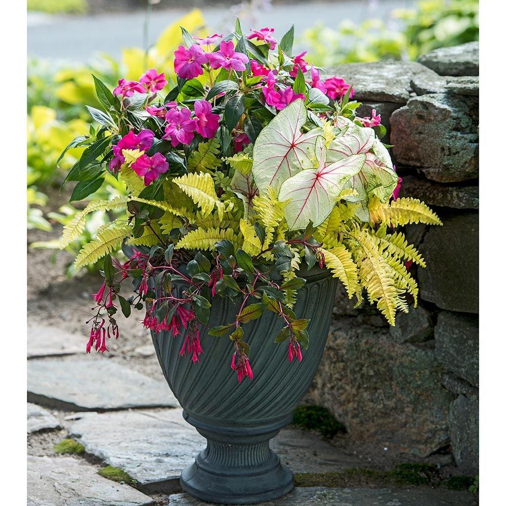 Seasonal flowers and foliage combined in a shaded garden pot