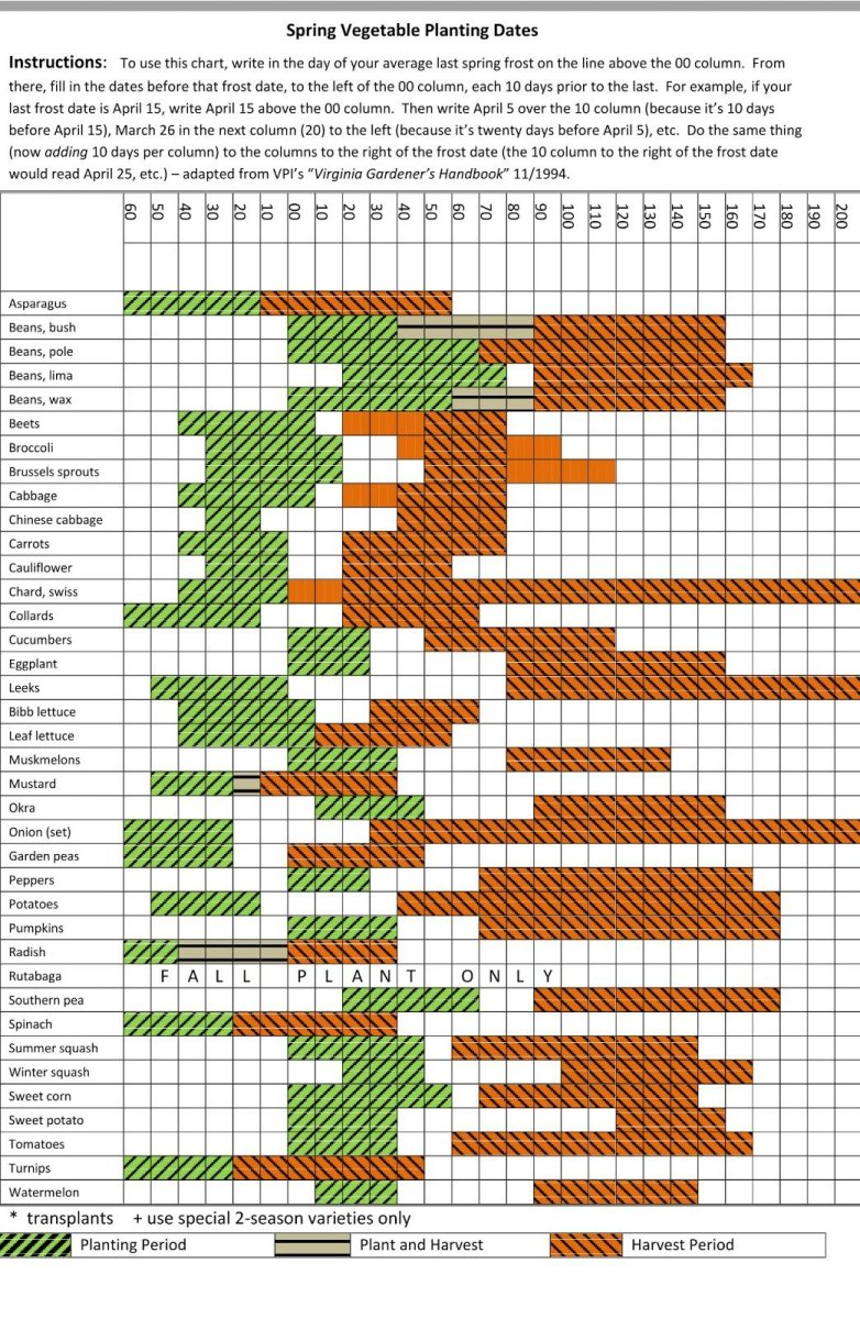 frost date gardening calendar