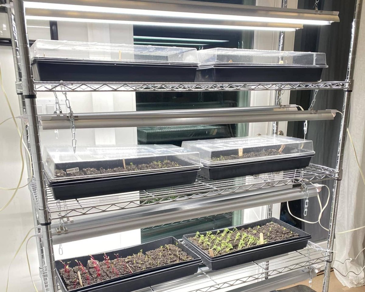 Seed trays with humidity domes