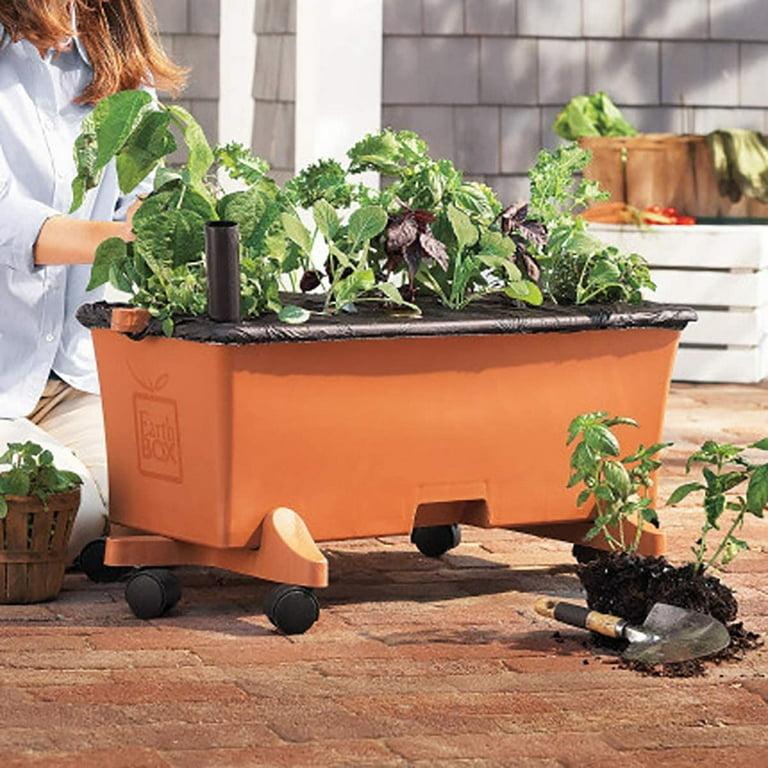 Self watering patio vegetable system