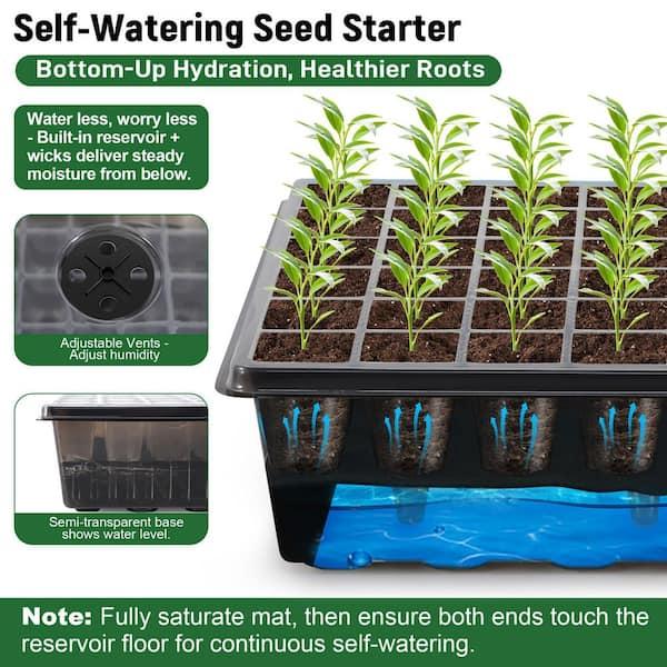 Self watering seed container system
