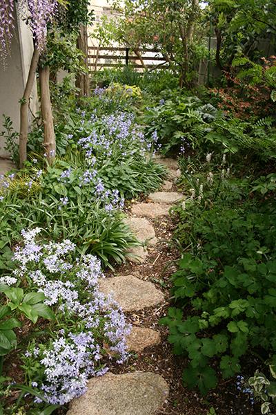 shade loving flower garden