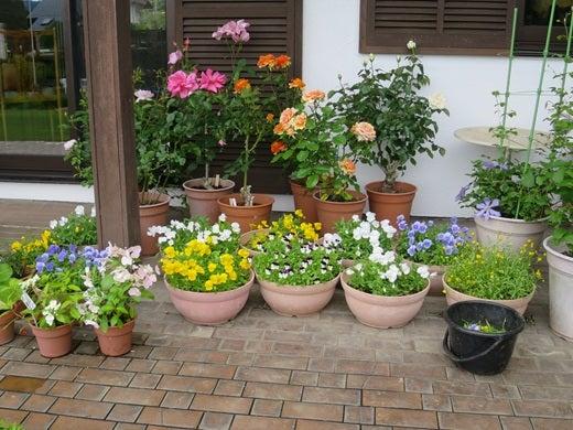 patio flower garden containers