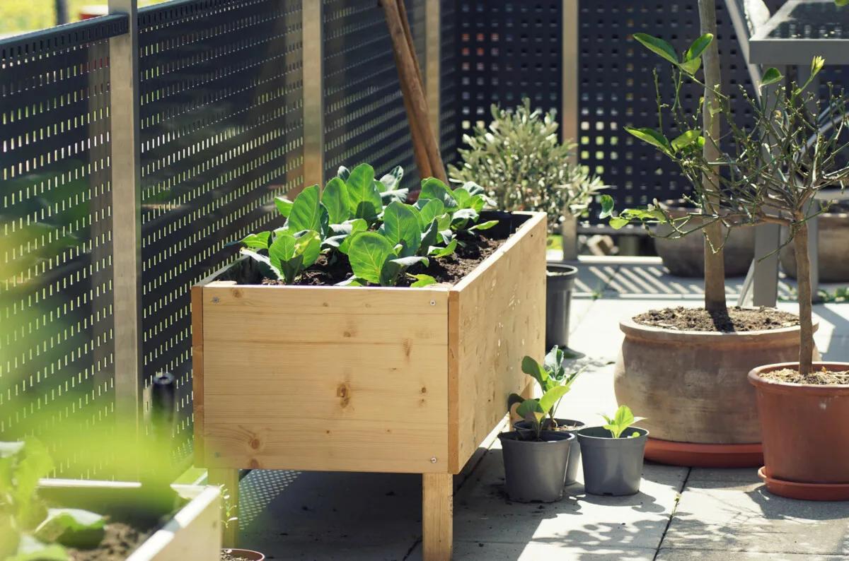 Small patio raised garden bed