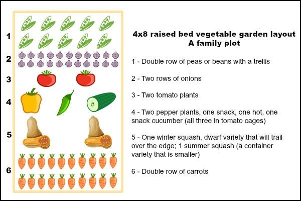 Family vegetable garden