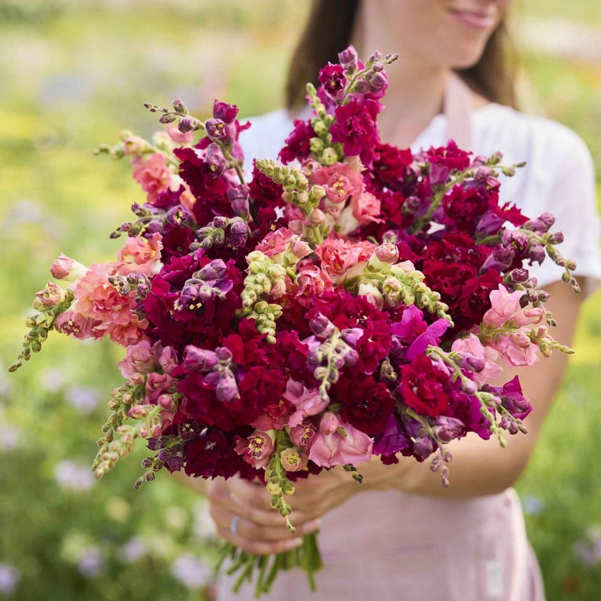 Snapdragons in tall bouquet