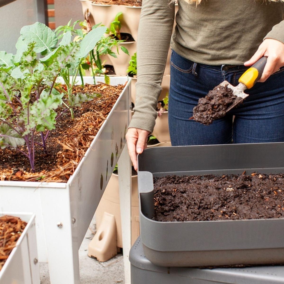 Healthy soil in vegetable container