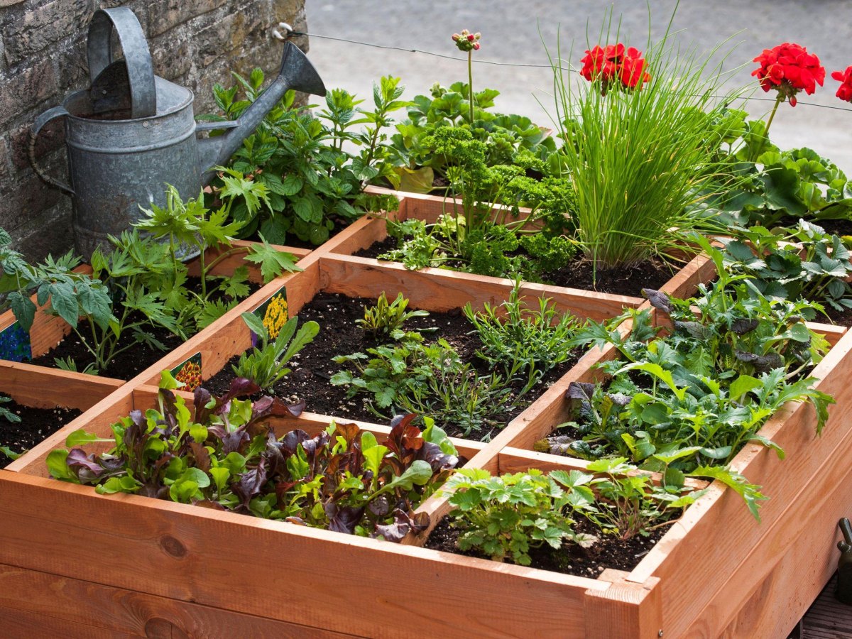 Square-foot raised bed divided into vegetable planting sections