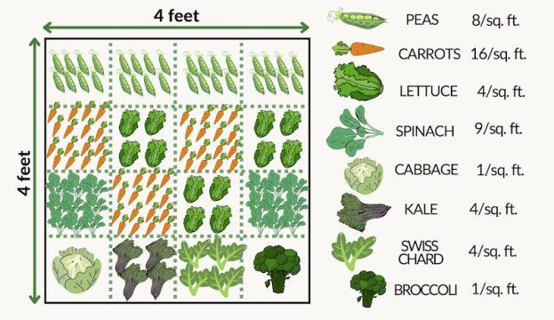 Square foot raised bed plan