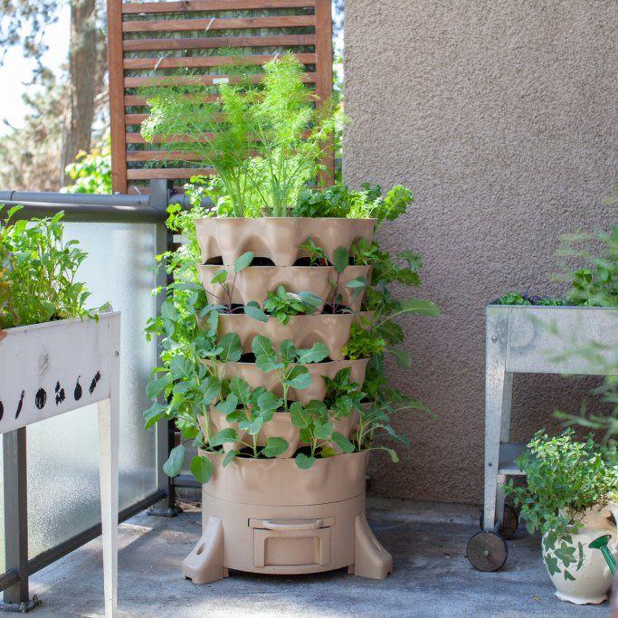 Stackable tower garden growing vegetables