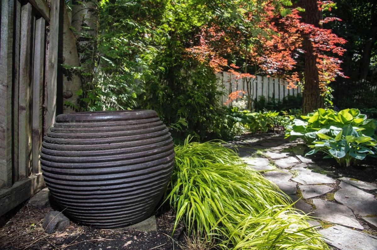 Statement planter bringing drama to a shady garden corner