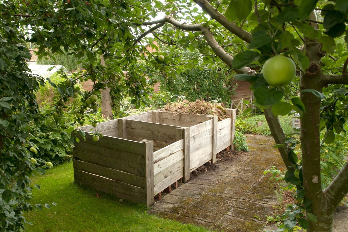 Compost bin under leafy tree shade