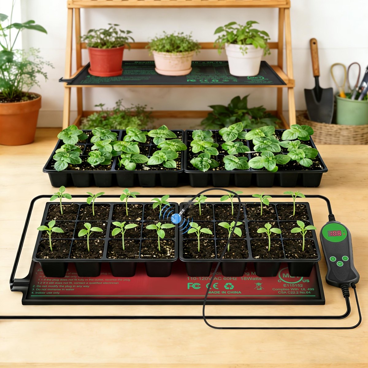 Seed trays sitting on a heat mat