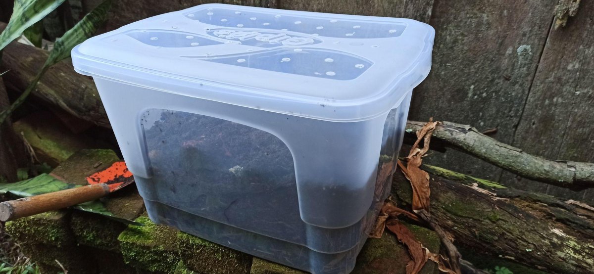 Repurposed container compost bin