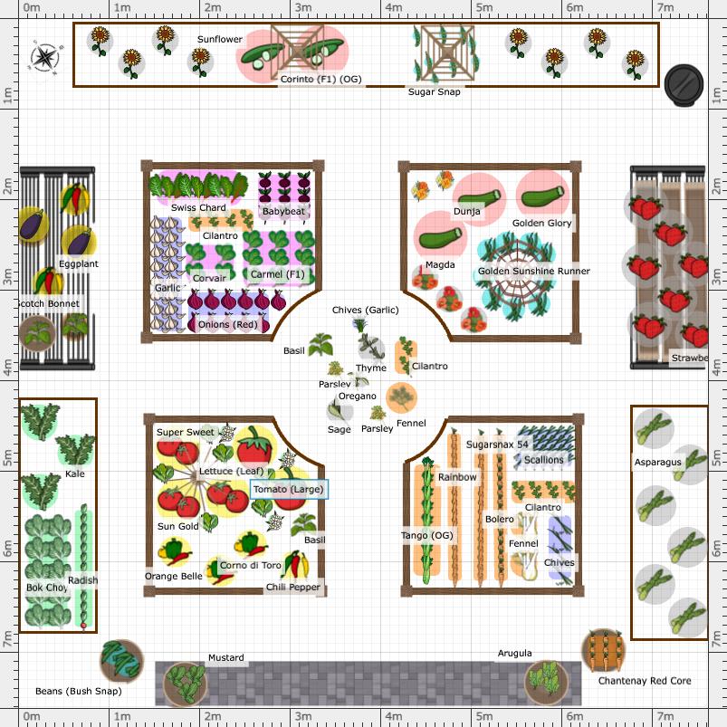 Urban vegetable garden