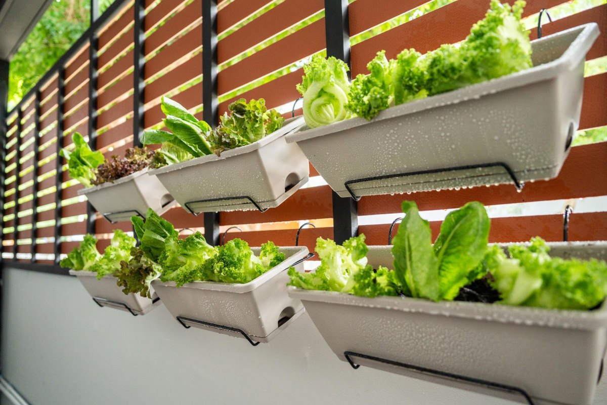 11 Vegetable Garden Design Ideas for Small Spaces That Really Work
