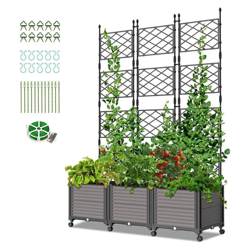 Trellis attached to vegetable containers
