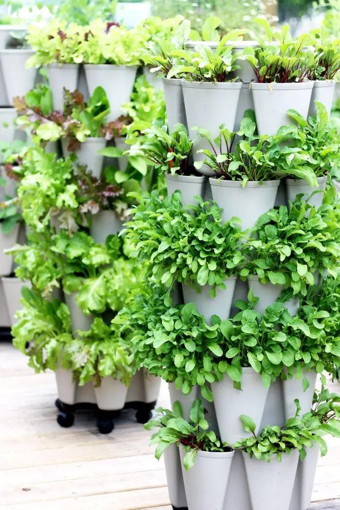 Vertical vegetable containers with stacked planters