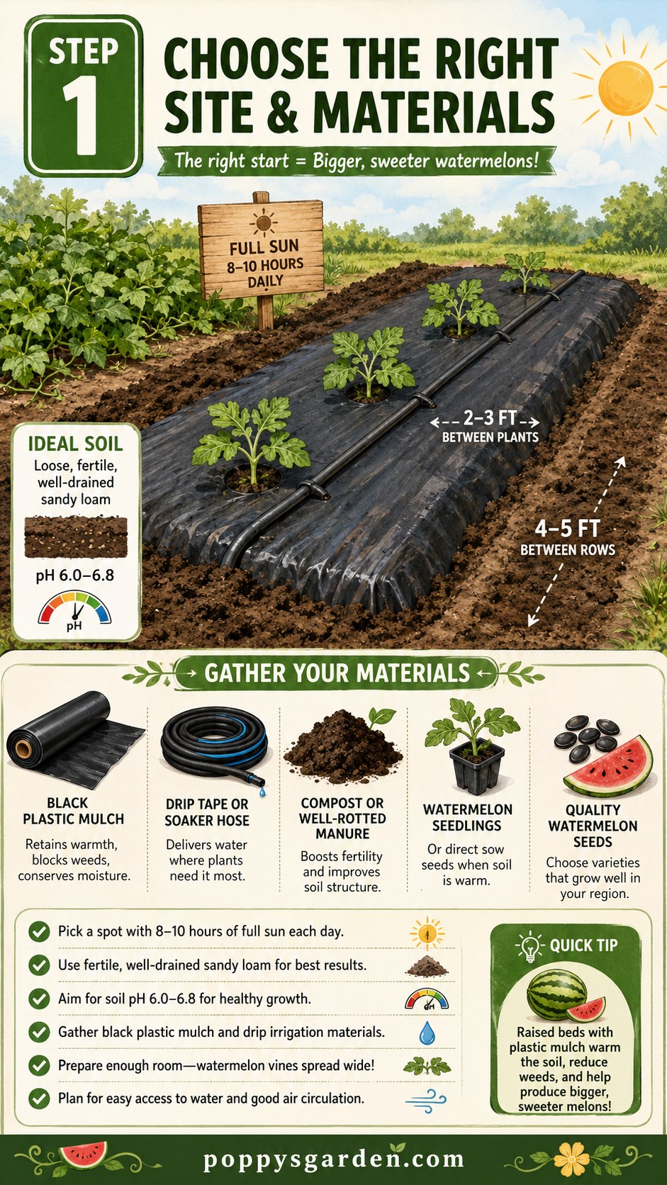 8 Steps To Watermelon Plastic Mulch Farming That Actually