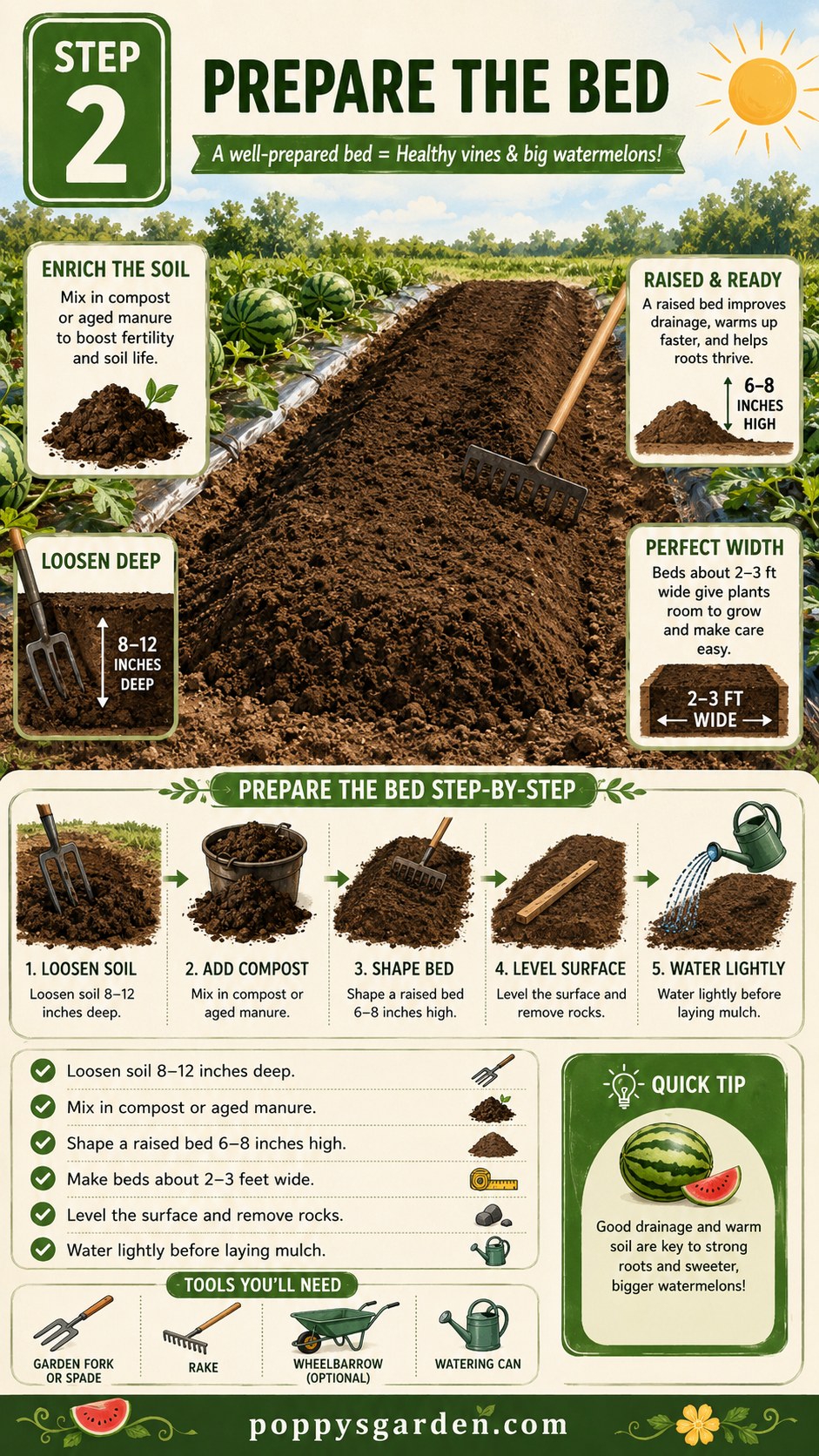Raised bed being shaped and enriched with compost before watermelon plastic mulch farming begins