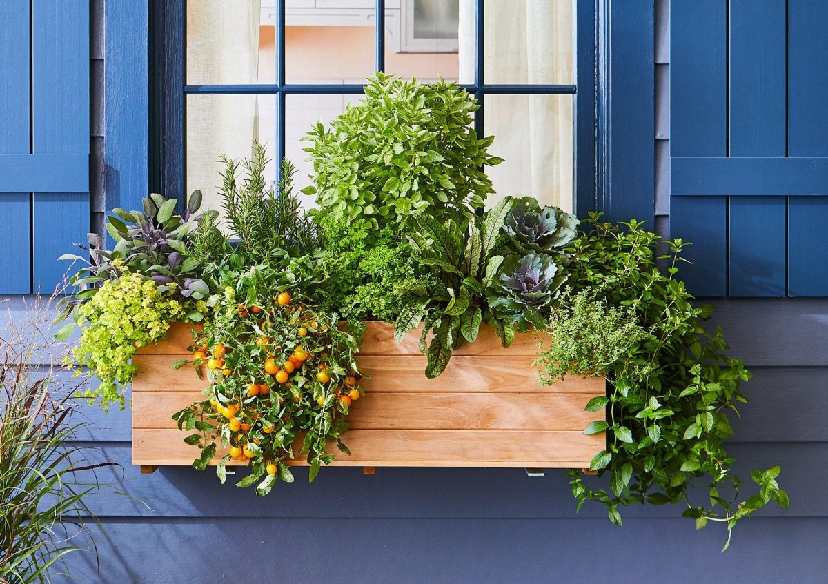 Window box vegetable garden
