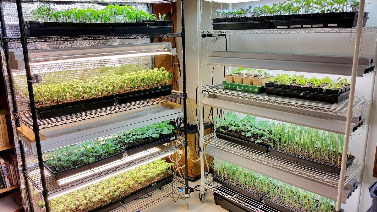 Wire rack seed starting shelves