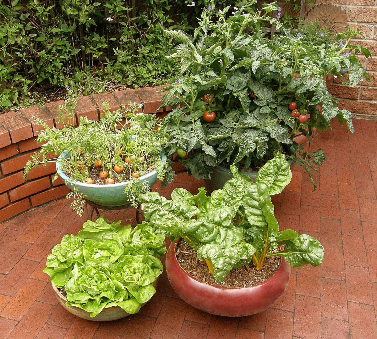 Year round patio vegetable garden
