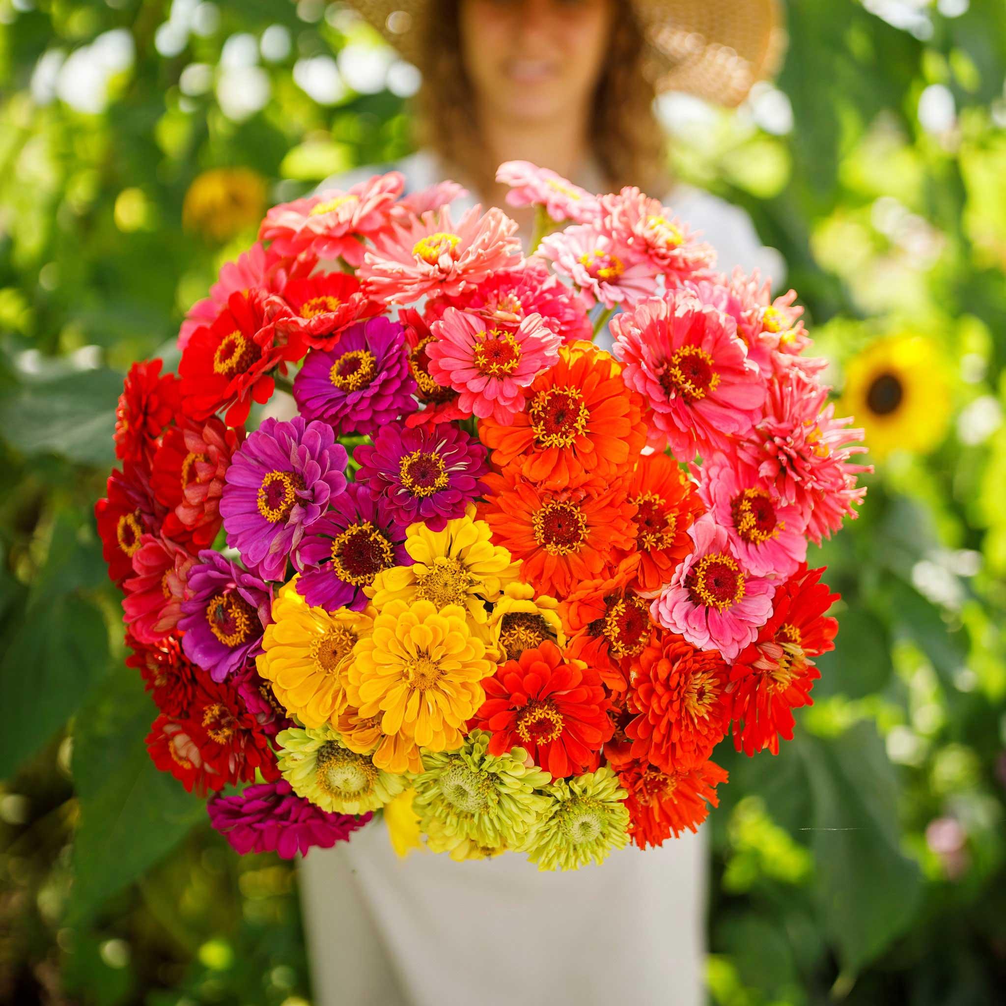 13 Easiest Cut Flowers to Grow